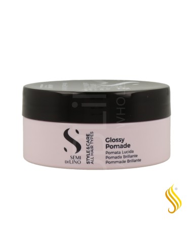 ALFA SDL STYLE&CARE GLOSSY POMADE 90ML